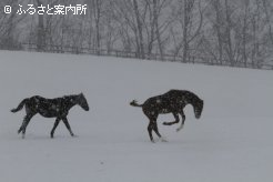 写真２　[跳ねて]