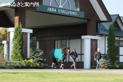 5年間過ごした種牡馬厩舎を後にした