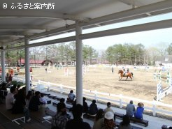 ノーザンホースパーク今年初の馬術大会