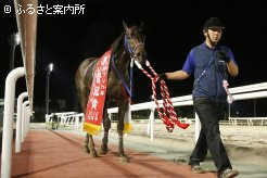 父スズカコーズウェイにとっても産駒初重賞勝利