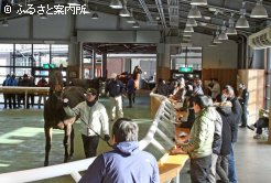 外は雪。冬季セールでは屋内パレードリンクのみが解放される