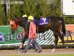 524kgの馬体重で出走