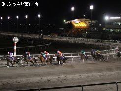 レース中盤、1コーナーをまわる各馬