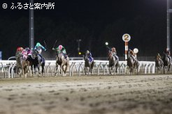 人気馬３頭の叩き合いとなった最後の直線