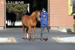 昨年の総合リーディングサイアーでは、自己最高位の4位となったオルフェーヴル