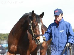 ダート重賞馬を多数送り出しているワイルドラッシュ