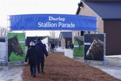 700名が来場した｢Darley Stallion Parade 2012｣