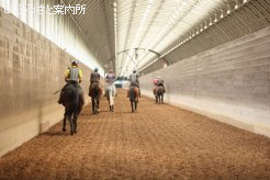 BTC研修馬に跨りスタート地点へ向かう6人の騎乗者