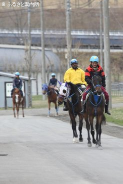 撮影を終えてアナボリックステロイド検査に向かう上場予定馬