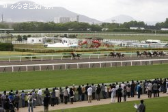 雨も上がりゴール前で声援を送る