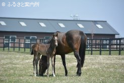 出産ラッシュのこの時期、当歳は可愛い盛り