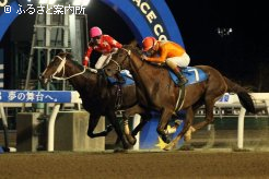 第9競走はJRAのC.ルメール騎手がハナ差の接戦を制した