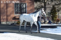 元気な姿でスタッドインした