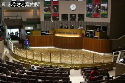 日高軽種馬農協が主催する今年最後の市場が開催された