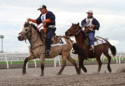 新企画・北海道和種馬「ジョッキージョッキー競走」