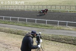 騎乗者の激に応えて懸命に駆け抜けた