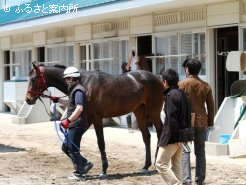 今年はHBAトレーニングセールから利用開始