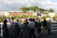 参加者は目の前を通り過ぎる競走馬に興味津々の様子