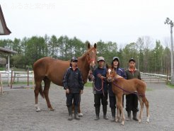 今年生まれた当歳牝馬と担当する2年生4名