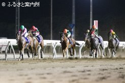 追いすがる他馬を退けるコーラルツッキー