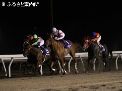 連覇を飾ったセレスハント