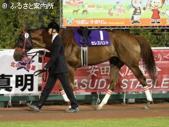 2歳から毎年勝ち続けている