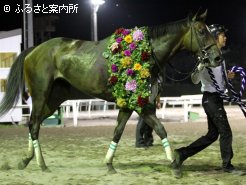 牝馬重賞らしく、花の優勝レイで口取りへ