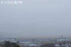 雨に煙るBTC調教場