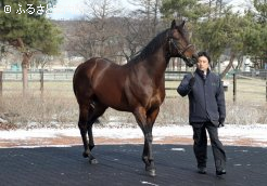 ヨハネスブルグは、たくさんの2歳馬がデビュー予定だ