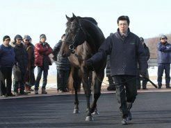 ゴートゥザノースは今年バゴと交配