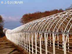 まもなく完成予定の坂路コース