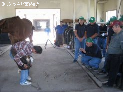 開業装蹄師の仕事振りを熱心に見つめる受講生たち