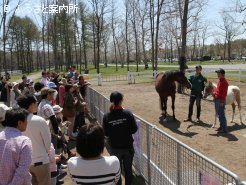 競技実施日は春に募集していた仔馬（将来の乗用馬）の馬名発表会も行われ、にぎわっていた