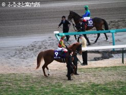 本馬場入場