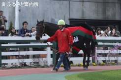 ファンクラブが新調した馬服を着て登場したコスモバルク