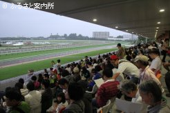 スタンドを埋め尽くした競馬ファン