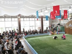 子供を対象して行われたウマ育教室