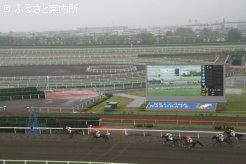 開幕週2日間ともに午前中は霧が覆われた