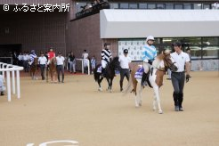 札幌競馬場名物の｢はなみち｣を通っての本場馬入場