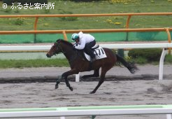 2ハロンの最速馬はタイキシャトル産駒