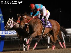 2連覇を達成したプリティゴールド