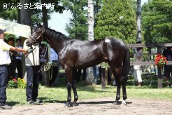 高額3位タイ「ラブームの2012」