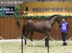 高額3位エステフ2018
