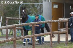 輸出検疫施設に移動。順調にいけば10月22日に成田国際空港から出国する