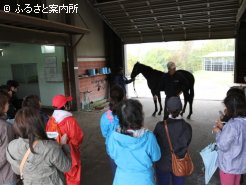 1歳馬を見学する馬女ネット参加者