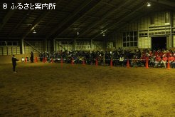 200人以上が参加した実馬を用いた育成技術講習会