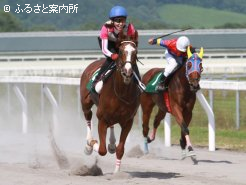 シンザングラプリを制したコートユーフォリア
