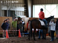 研修には9名が参加
