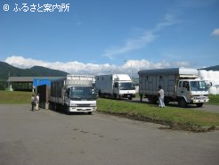JRA日高育成牧場に集まった馬運車