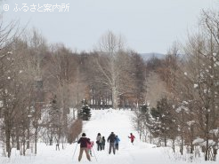 歩くスキー大会